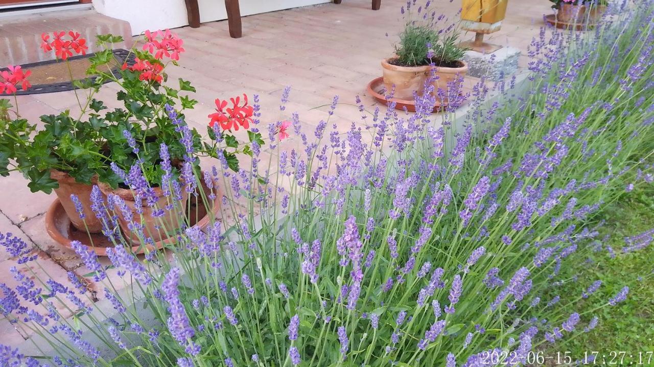 Almafás Vendégház Őrség Kerkakutas Extérieur photo