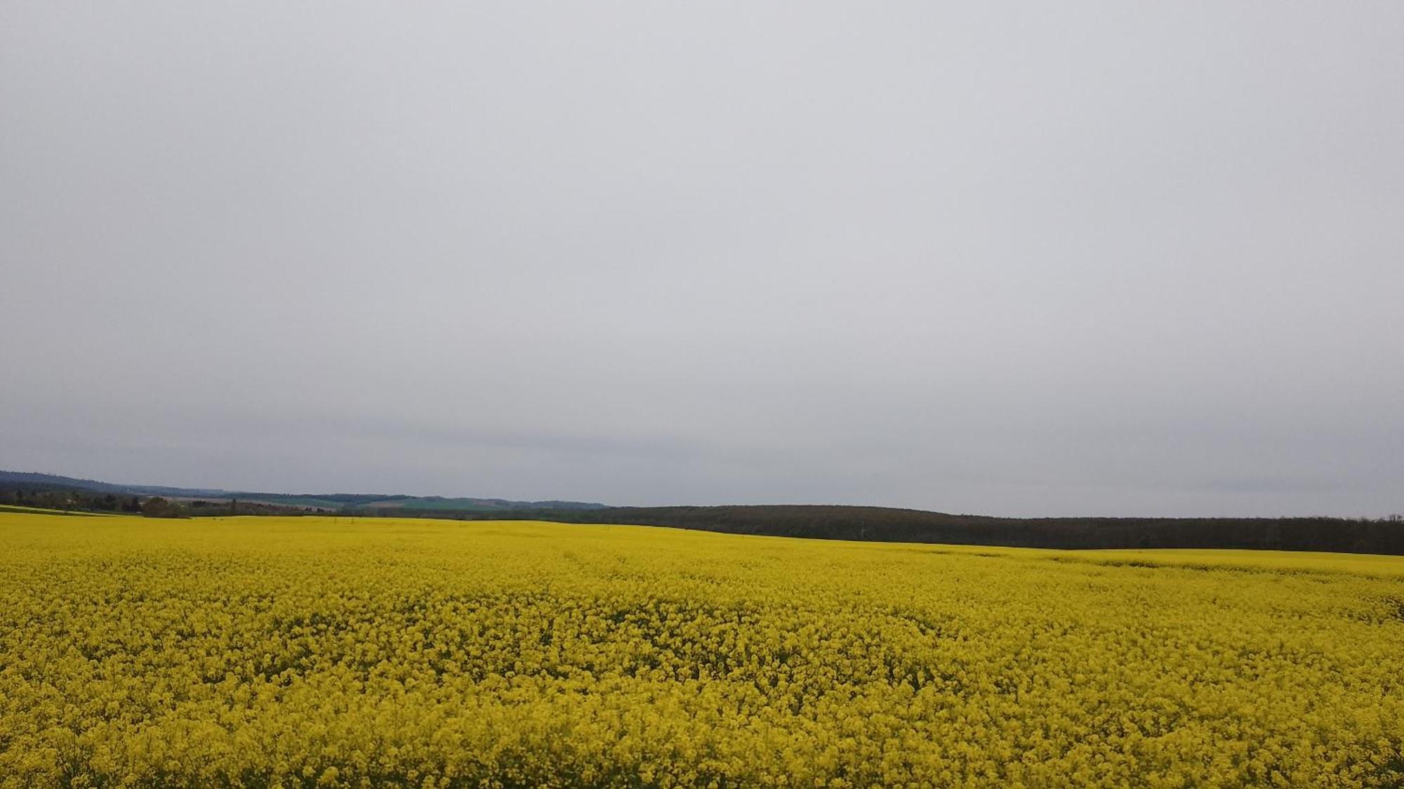 Almafás Vendégház Őrség Kerkakutas Extérieur photo