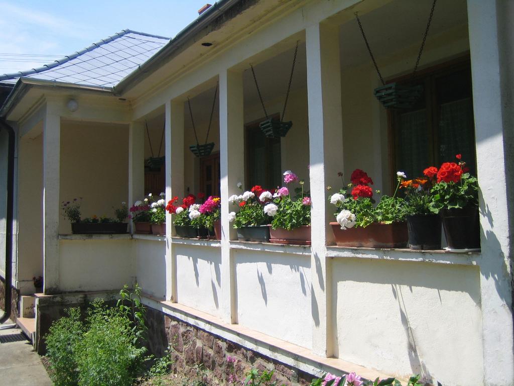 Almafás Vendégház Őrség Kerkakutas Extérieur photo